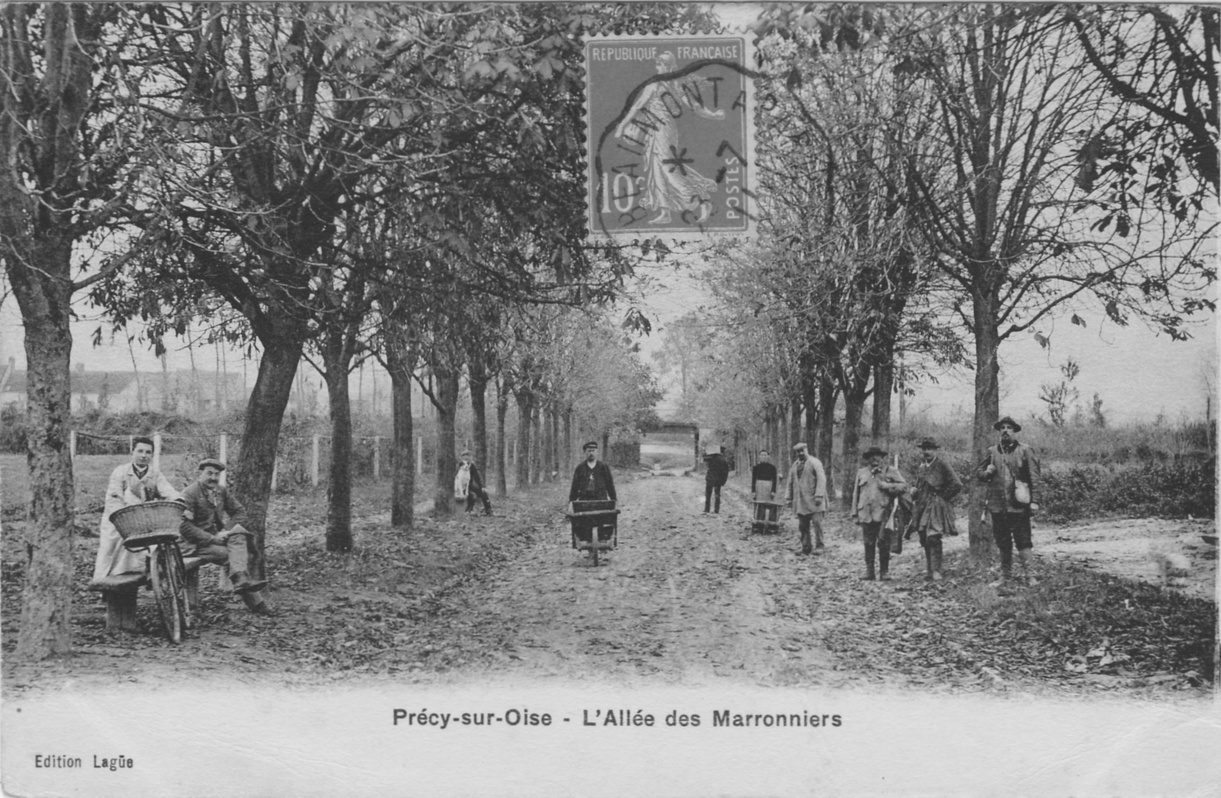 L'allée des Marronniers à Précy